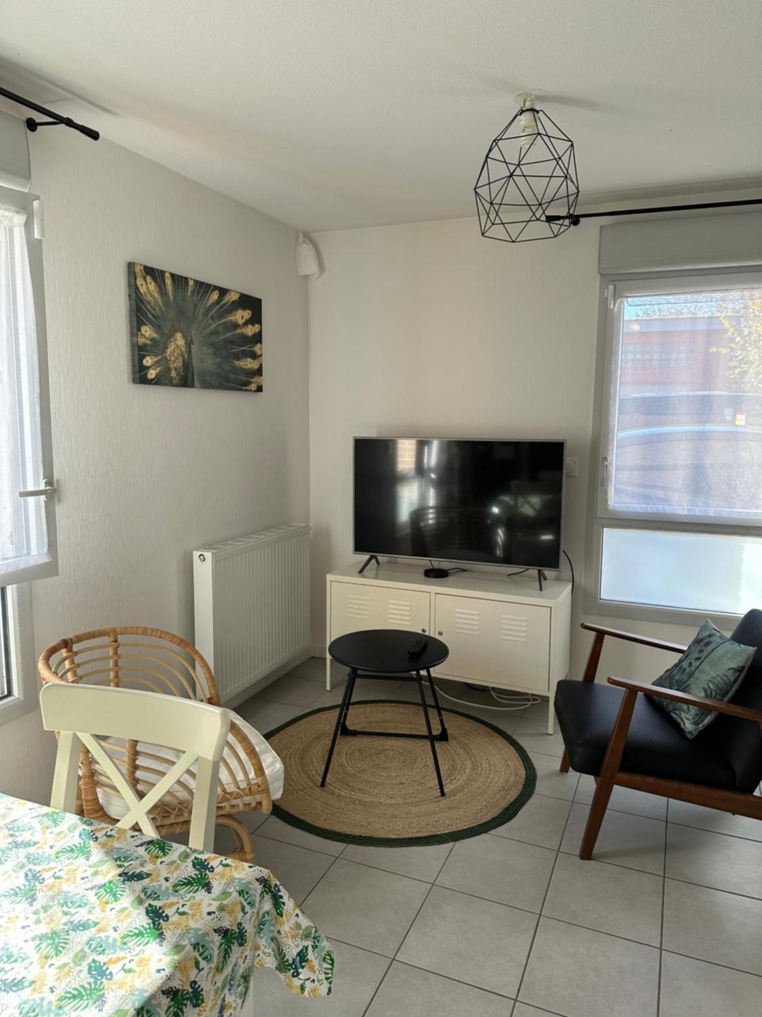 Apartament Minimes, Studio Cosy Tout Confort, Wifi, Parking Tuluza Zewnętrze zdjęcie
